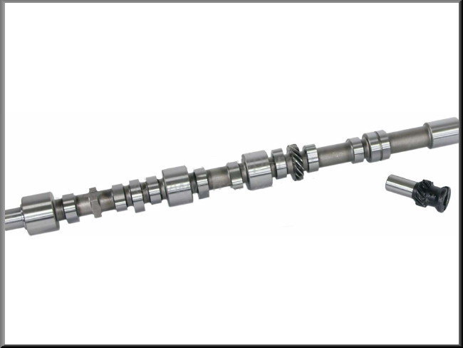 Camshaft with distribution gear (807-843-845 motor). - Renault16 Shop