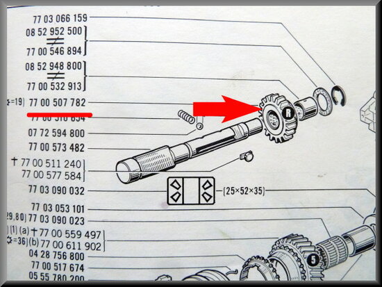 Reverse gear (19 theeth).