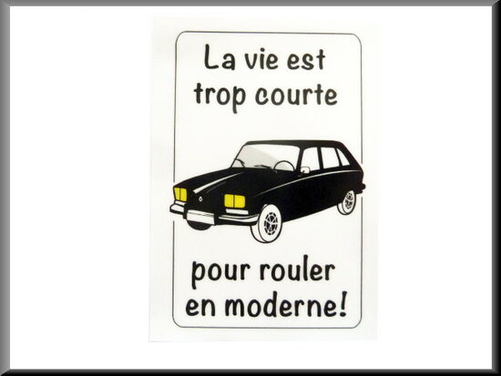 Car sticker for inside window "la vie est trop court"
