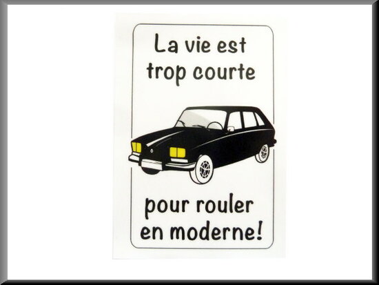 -Binnenruit auto sticker "la vie est trop court"