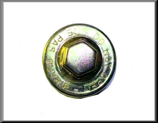 Radiator cap (with text)