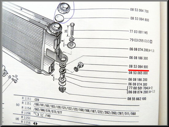 Radiator drain screw.