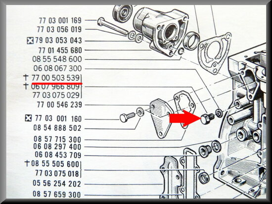 Drain plug cooling system