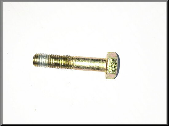 Bout M10x45 (geel gepassiveerd)