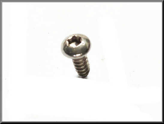 Torx vis (inox) avec bague plastique.