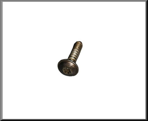Vis Torx pour d'aileron de toit R16 TX.