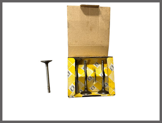 R 18 A6, Fuego, 17, 20: Inlaat klep (New Old Stock).