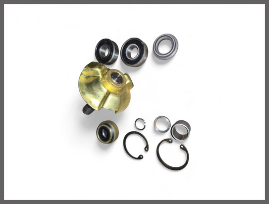 Renault 8, Major 1132, Floride-S, Caravelle: Waterpomp revisie set (New Old Stock).