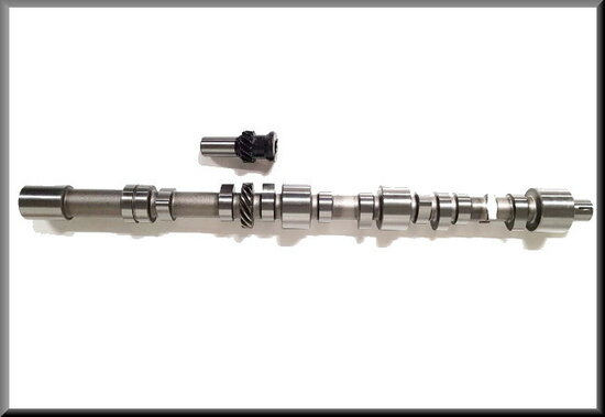 Camshaft with distribution gear (807-843-845 motor)