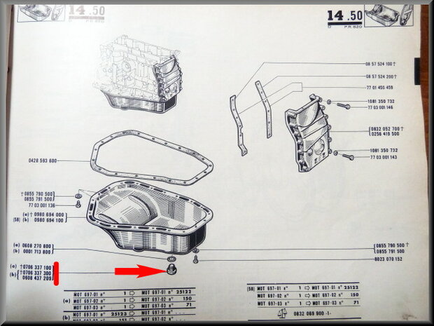 Carter plug 16 mm (magnetisch)