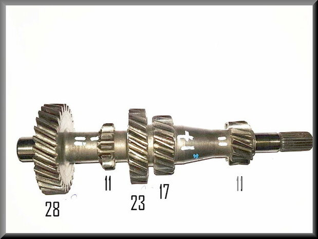 Primary shaft (28-11-23-17-11 teeth).