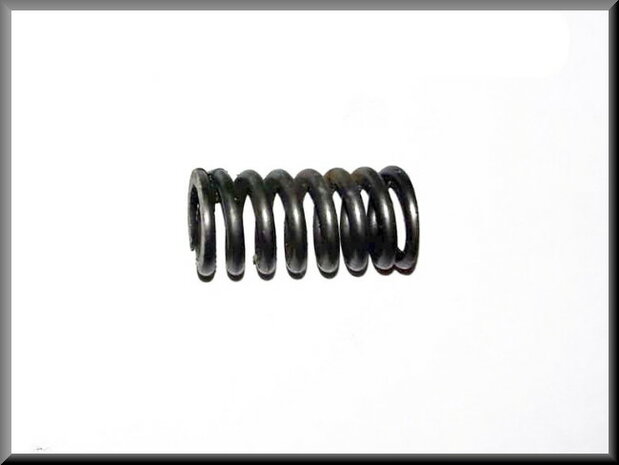 Locking gear spring.