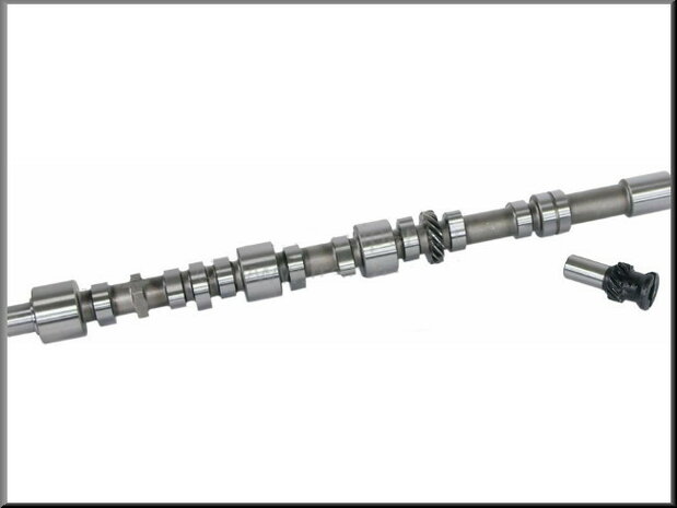 Camshaft with distribution gear (807-843-845 motor)