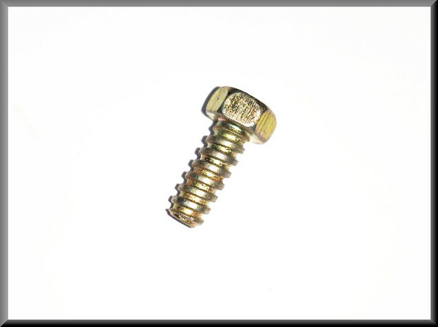 Body bolt (yellow passivated).