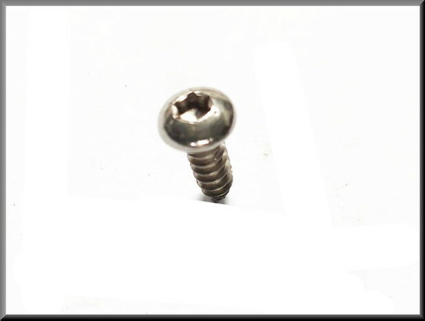 Torx screw stainless steel with plastic ring.