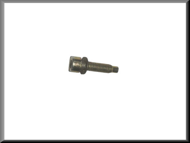 Allen screw with washer.