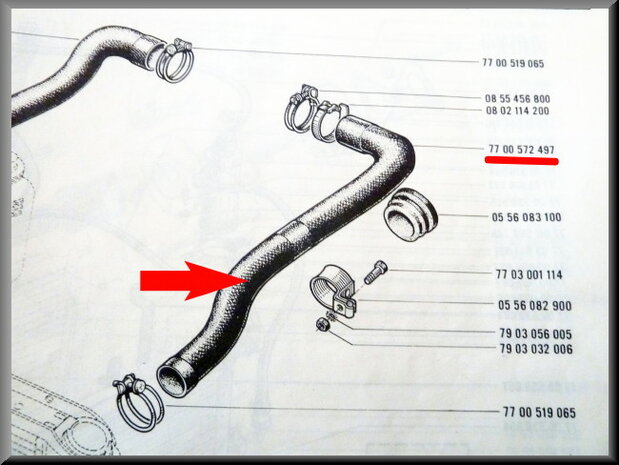 Koelslang links. 