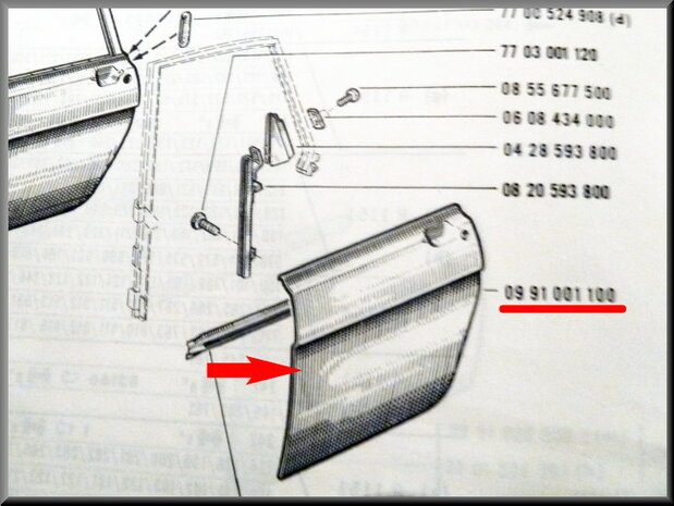 Doorskin rear left.