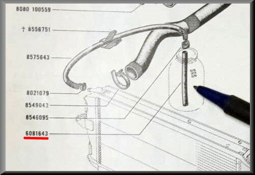 Expansion tank hose.