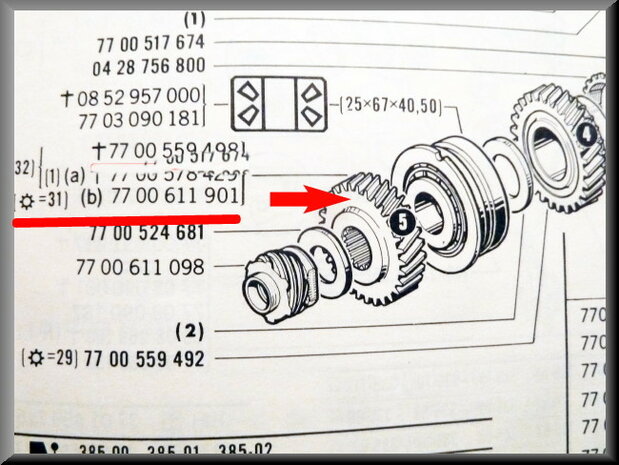 Pignon 5ème vitesse (31 dents).