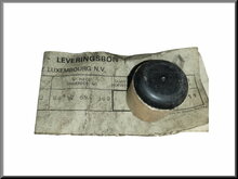 Water-pump-cap