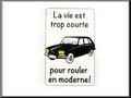 Car-sticker-for-inside-window-la-vie-est-trop-court